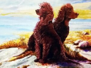 Irish Water Spaniel painting