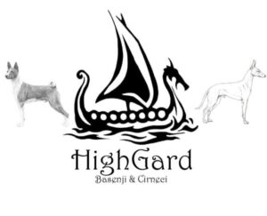 HighGard Kennels - Basenjis and Cirnechi | Heather Galford