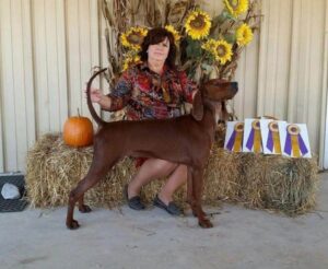 Sidearm Kennel | Lori Mills
