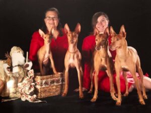 Kr'msun Cirnechi dell'Etna Pharaoh Hounds | Cheryl McDermott Emily Kerridge