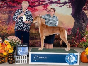 Mary Grace Kocab and her dog at a dog show.