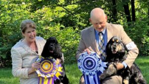 Doug & Kay Belter | Majestic English Cocker Spaniels