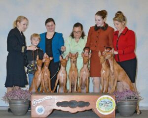 Cheryl McDermott Kr’Msun Cirnechi dell’Etna & Pharaoh Hounds