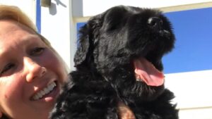 Christine Robinson, Ph.D., breeder of Black Beard Black Russian Terriers