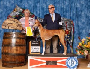 Doug Koger at a dog show with his Azawakh dog