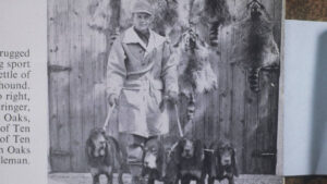 The Black & Tan Coonhound