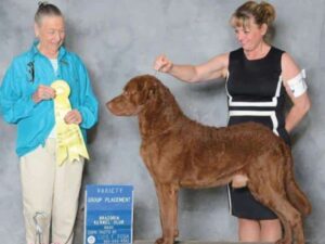 Tammy Dennis at the dog show.