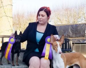 Jessica Stover with her Ibizan Hound and Toy Manchester Terrier