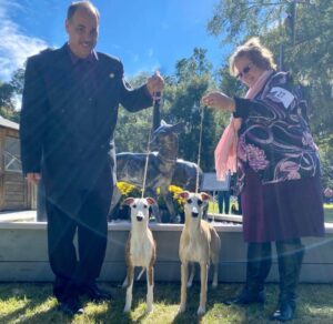 Owner Handlers Kim & Paul Norton with their Whippet dogs