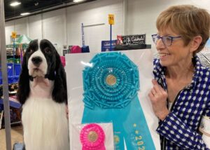 Laureen Camisi of Sapphire English Springer Spaniels