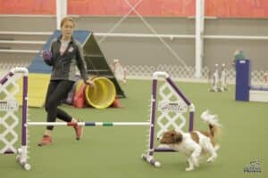 Liz Barshack with Nederlandse Kooikerhondje "Senna"