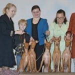 Kr'msun Cirnechi dell'Etna & Pharaoh Hounds | Cheryl McDermott & Emily Kerridge