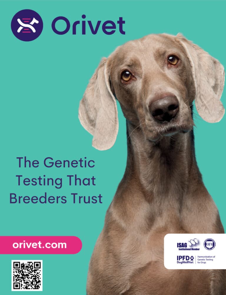 Orivet