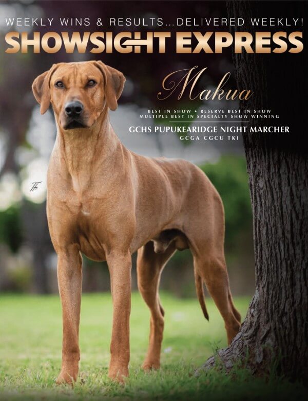 Showsight Express October 17 cover