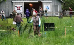 AKC NATIONAL EARTHDOG TEST