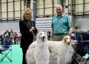 Bill and Lynda Sarman with their Radost Borzoi dogs