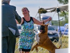 Tina Beardsley with her Boxer.